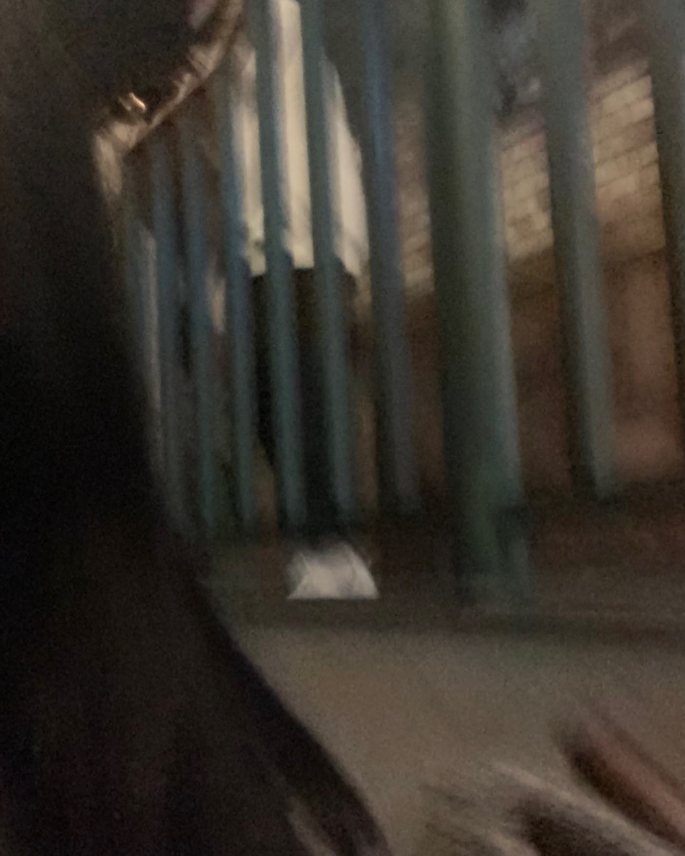 콘텐츠