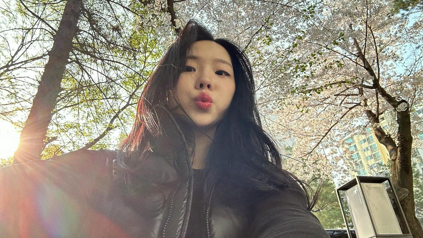 봄이야 봄 🌸