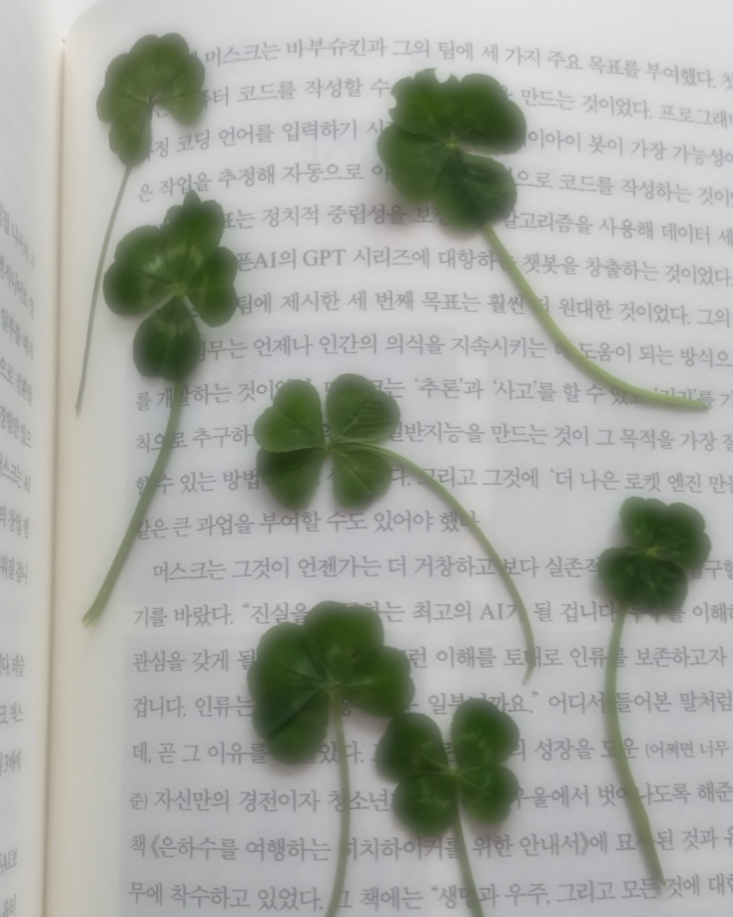 엄마가 보내준 행운 ஐﻬ