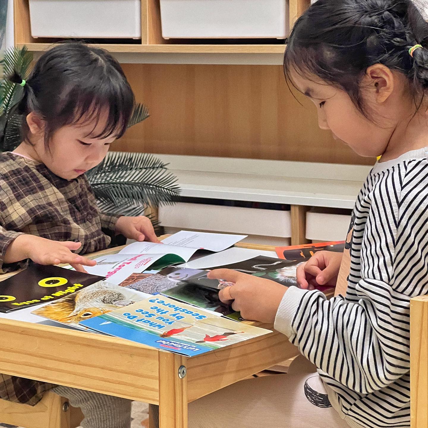 제품제공 ˃̵͈̑ᴗ˂̵͈̑ 

서로 읽겠다고 싸우고 서로 하겠다고 싸우는 영어책과 워크지라니😳
논픽션리더스북이 이렇게 재미있는 거였어요?!! 
영어책 읽다가 지식도 얻게되니 엄마인 저도 신남신남! 

🐍 엄마! 뱀은 코로 냄새 맡을까? (밑에 설문에서 정답 맞춰보세요오!)

한장이가 쏘아올린 공에 엄마는 두눈이 휘둥그레졌다능😲
아니, 어디서 들었어? 했더니 
스콜라스틱 Let's find out 논픽션리더스북에서 읽었대요!! 

죠아죠아 아주 죠아👏🏻

#스콜라스틱 #유아영어책 #엄마표영어 #리더스북 
#논픽션리더스북 #Letsfindout #scolastic 
#스콜라스틱팝펨 #유아영어 #영어리딩 #영어원서읽기
