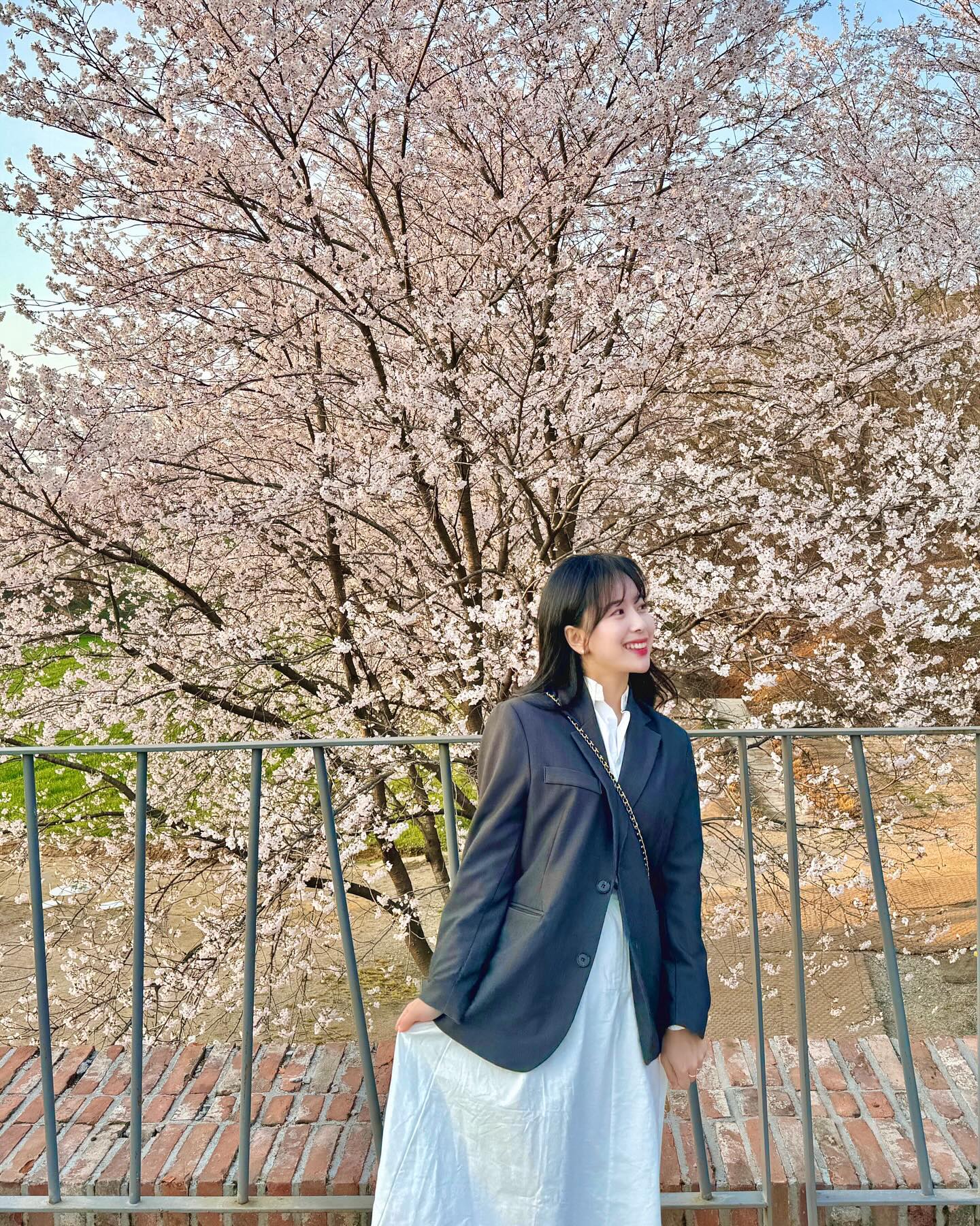이번에는 왜이렇게 짧게 느껴지는지! 🌸 내년에 만나…
