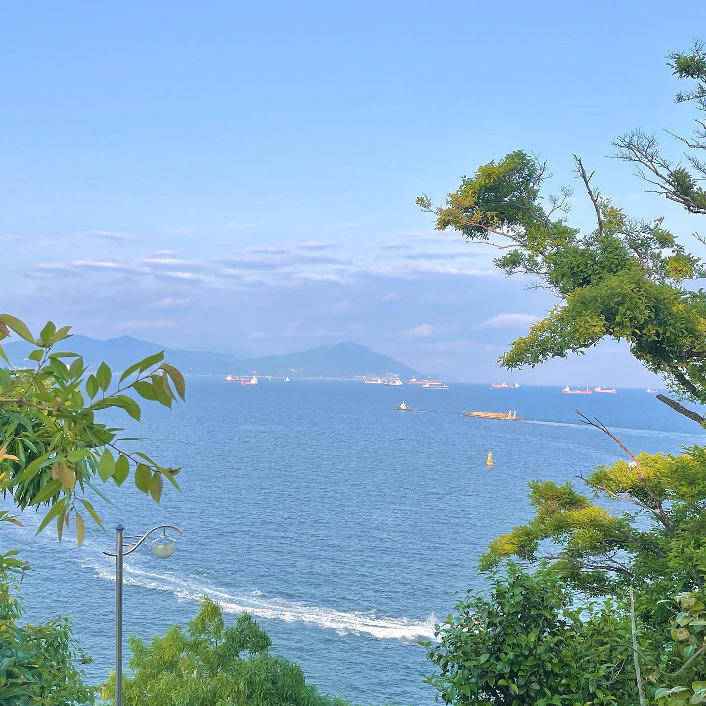 콘텐츠