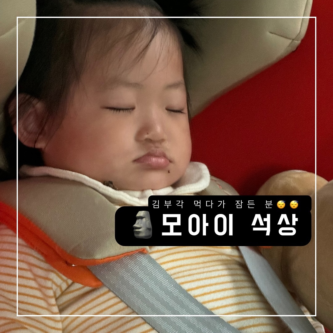 🗿🗿🗿🗿🗿
김부각과자 먹다 잠든 내 막둥이
김 덕지 덕지 붙이고, 이중턱 젖살 귀엽게 접혀 모아이석상으로!!

#moai #모아이석상 #육아일기 #둘째는사랑입니다 #귀염탱 #사랑해 #도치맘