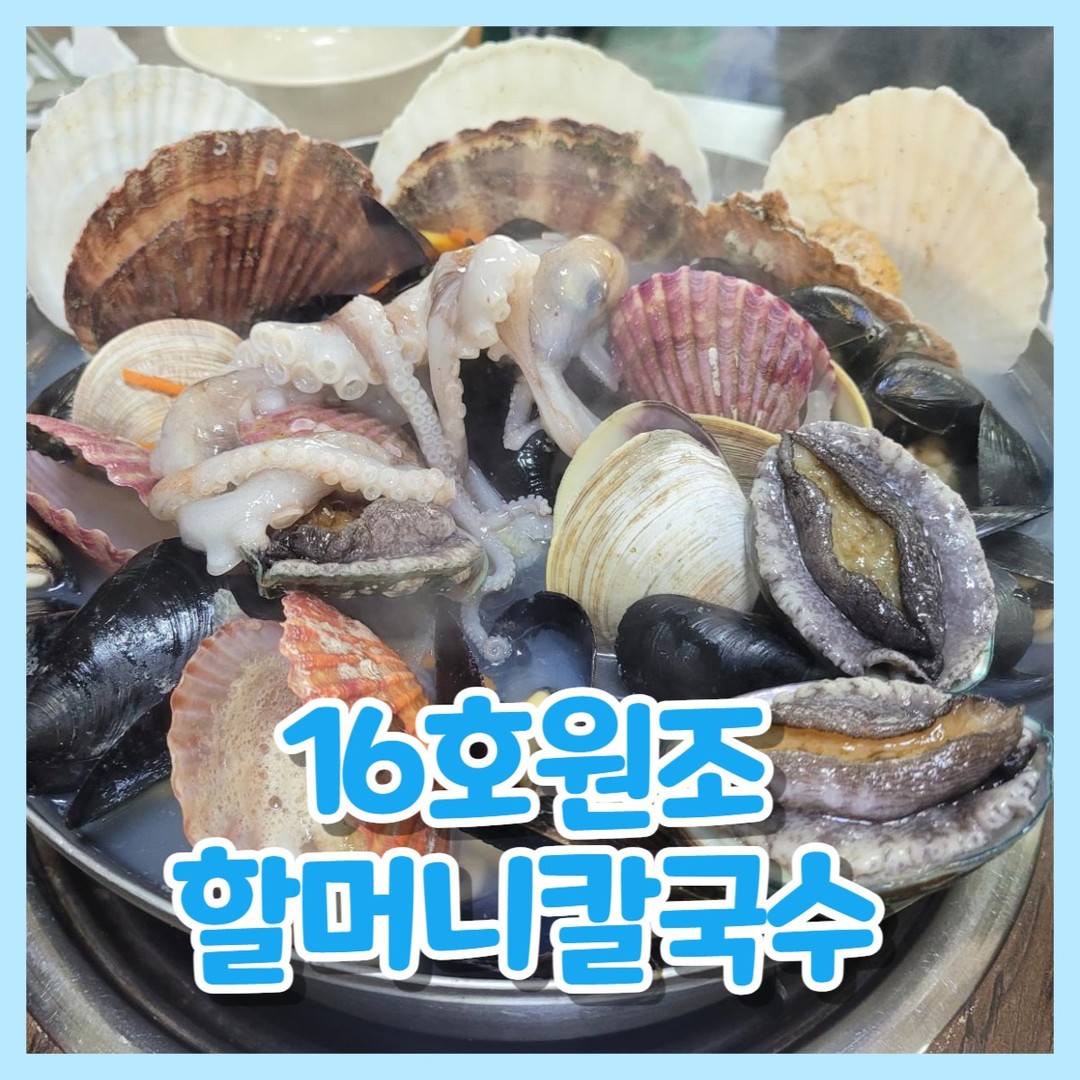 대부도칼국수맛집 16호원조할머니칼국수 대부도본점

😍위치
경기도 안산시 단원구 대선로 10

😍영업시간
수~월 오전 8시30분 ~ 오후 8시30분
7시45분 라스트오더
매주 화요일 정기휴무

😍주차
가게앞, 옆주차가능 

대부도에는 칼국수집이 참으로 많다구로😮

그 중 저희가 간 곳은 해물이 짱많은 대부도 칼국수
16호원조할머니칼국수!❤️

❤️저희 가족들 9명이서 가서
고민 끝에 주문한 내역

사촌언니 형부 조카 

백합칼국수 1인 14,000+해물파전18,000

할머니 이모 나 

황제해물칼국수 중 60,000 +해물파전 18,000

엄마 언니 신랑 

황제해물바다칼국수42,000 +해물파전 18,000

​
음식 주문하고 기다리면서 가게 구경하는데
동동주가 공짜야? 진짜 맞는건가?
한참을 둘러봄😮

운전 안하는 나랑 신랑이랑만 한잔씩 떠왔다구로!!
​
너무 탁하지않고 적당히 맛있었음
엄청 시원함!!👏

​
👏황제해물칼국수 소 42,000

소자 2인인데 42,000원이길래
가격 좀 세긴하다~햇는데.......
양이 너무 많......

이거 어떻게 둘이서 다먹냐구로?😭

👏황제해물칼국수 중 60,000

더 많아서 큰일났다구로 ㅋㅋㅋㅋㅋㅋㅋ

사진은 못찍었는데
사촌언니네 백합칼국수 1인도 양이
거의 2인분 양이어서
원래 중자 같이 먹는다했었던게 
해물말고는 거의 손도 못댐.........🤣

​
테이블 마다 3분짜리 모래시계가 있는데 이거는 면 익는 시간!

해물은 먼저 먹어도되고 3분지나면 면 먹는건데
바닥에 눌러붙으니까 살짝살짝 바닥쪽만 집게로 저어주라구로~😘

3분 되니까 저한테는 딱 알맞은
알단테?정도의 면 이었는데
어르신분들은 좀더 익히시는게 좋을 것 같다구로~

​
가리비 크기...
홍합도 진짜 엄청많고
바지락도 엄청많고
조개가 너무 많아서 껍질서 속 빼먹기 힘듦🤣

어깨가 아플지경
집게를 집은 손도 아프다구로....😢

​
👏해물파전 18,000

나온 사진을 못찍고 먹다가 찍었는데
양이 너무 너무 많아가지고
1개반이 남아서 포장했다구로..ㅋㅋㅋㅋ

​해물도 많이들어있고 두툼해서 너무 맛있었음!😍
요즘 파전 하나 시키려면 2만원은 줘야하는데 가격대비 퀄리티 좋았음!

​칼국수는 포장 못하니까
칼국수를 먼저 조지고~
파전은 일부러 맛만 보고 남겼다구로

총 ​나온 조개껍질

이거보다 더 남았다구로
너무 손 팔 어깨 다 아파서 포기 ㅋㅋ

대부도 칼국수 맛집 16호원조할머니칼국수 강추드린다구로!!

다만 칼국수양이 너무 많으니
4명이서 소자에 파전을 드시거나
3인이서 소자를 드시는걸 추천..
2인이 오시면 황제는 못먹는다고 봐야함...😊

​

#대부도맛집
#대부도칼국수
#16호원조할머니칼국수
#황제해물칼국수
#대부도해물칼국수
#해물칼국수맛집
#대부도칼국수맛집
#칼국수동동주
#해물파전