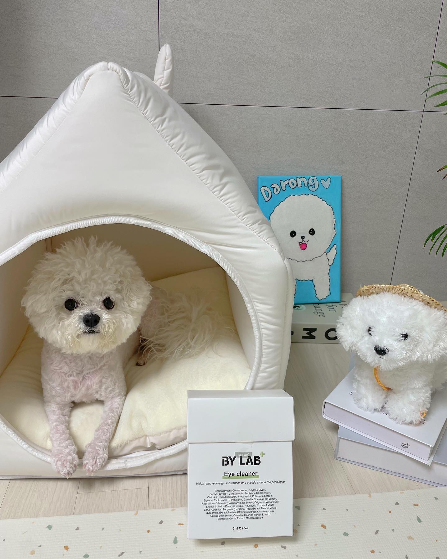 #협찬 
눈물 많은 친구 모여라🫶🏻
비숑은 특히 눈물 관리가 중요해요
지금은 아닌데 다롱이도 눈물이 빵하고
터진 적이 있었는데 매일하는 눈 위생 관리가
진짜 중요하다고 하더라구요 
바이랩 아이클리너는 눈물자국을 위한 
간편 매직봉이라 넓은 면봉으로 눈 찌를 걱정 
없이 관리하기 쉬어서 좋더라구요🤍
눈꼽 손으로 떼어내면 불편해하는데
이건 살짝씩 문질러주면 깨끗하게 관리되니
보호자 입장에서 넘 좋아요🙏🏻
.
.
.
👀개별 포장으로 더 위생적이게 여행이나 외출 시도 간편하게 
👀예민한 눈가를 위한 피부자극 테스트 완료
👀후각이 예민한 반려동물을 위한 향료 무첨가
👀눈가 청결 유지에 도움을 주는 특허 성분 
.
.

#협찬 #강아지용품 #반려동물용품 #강아지눈세정제 #강아지세수 #강아지눈물자국 #강아지눈물 #강아지눈곱 #바이랩 #강아지아이클리너