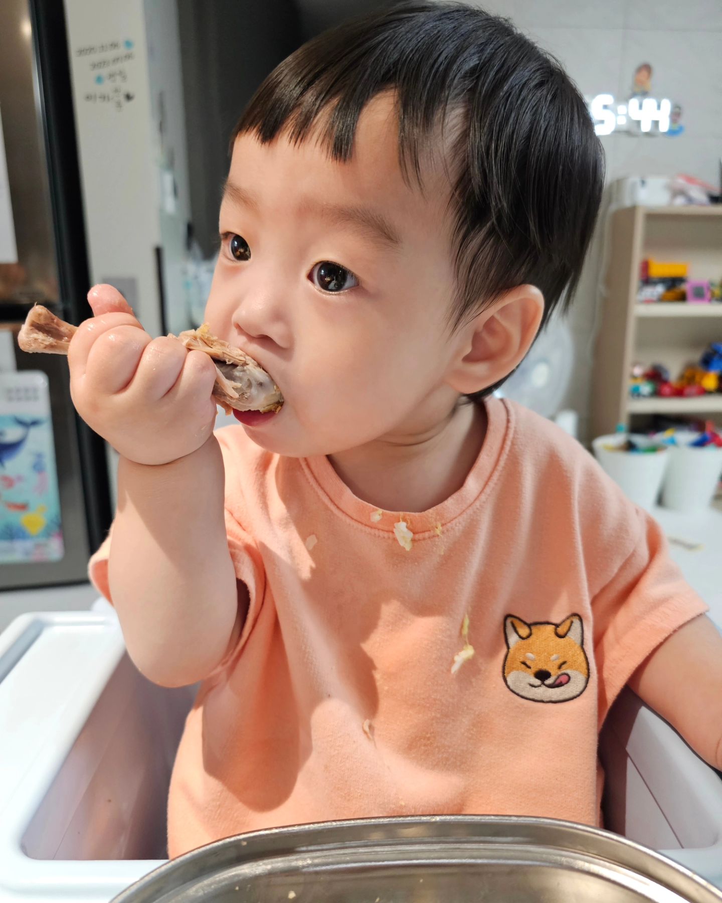 #생후14개월 #열정적인 #닭다리뜯기 #냠냠냠 #맛있어

첫째는 닭다리 줘도 안 잡는다고 하는 남자였는데
둘째는 냅다 잡아서 입으로 들어감ㅋㅋ

근데 반전은... 첫째는 잘먹고, 둘째는 입이 짧다는 점..ㅋ