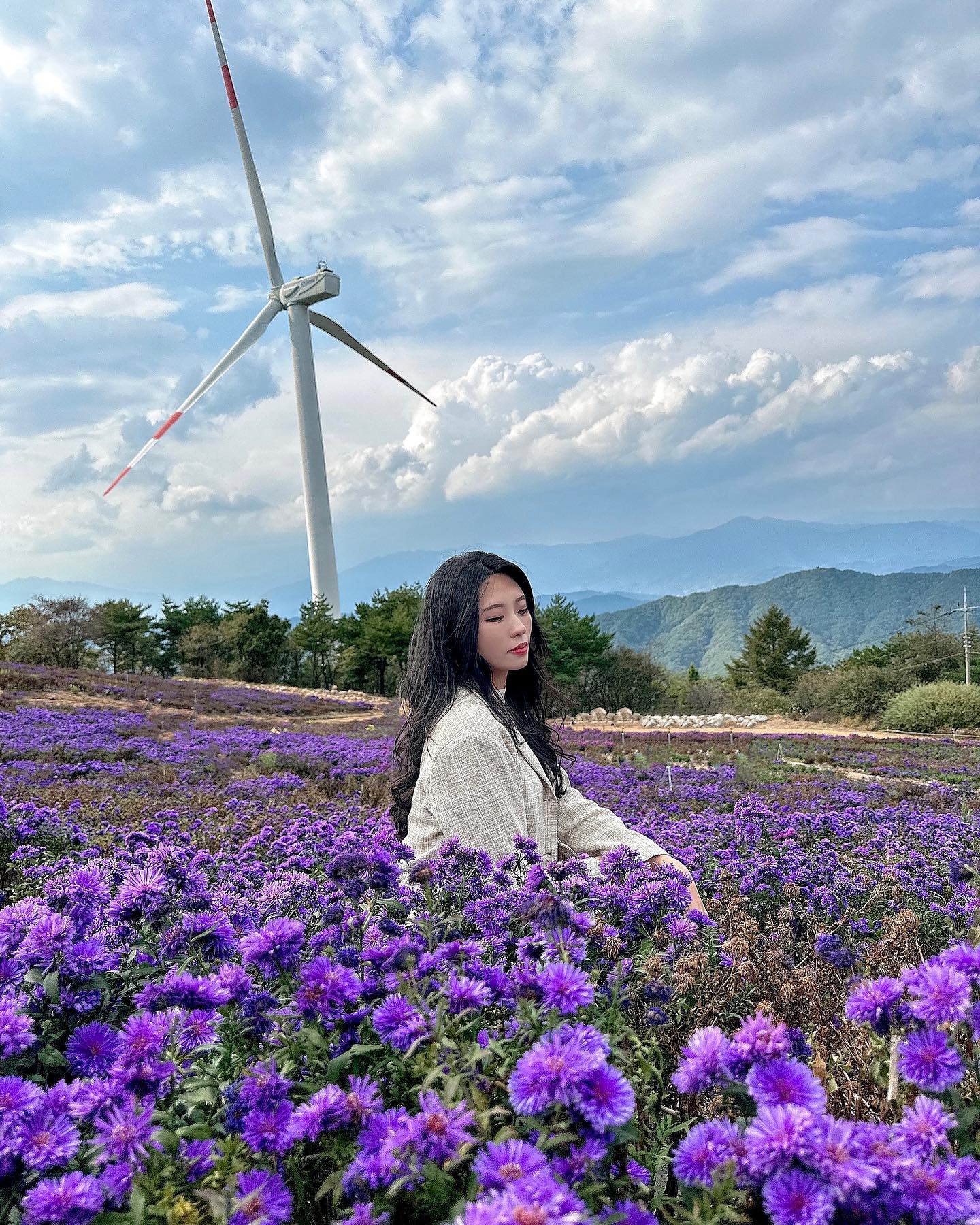 사진 짱 이쁘게 잘 나오는 곳 막차타기~
카메라 뒤집어서 꽃 근처에서 찍으면 
엄지공주 처럼 귀엽게 나와요👶🏻

바람 많이 불어서 추우므로 겉옷은 필수
보라색 아스타 국화꽃과 억새도 구경하실 수 있어요🪻🪻🪻

감악산 꽃&별 여행 축제 날짜는 10월 4일~15일 까지라 저번주가 막차였네요
주차장은 보유하고 있고 차가 정말 많습니다
인생샷 명소라 내년에 꼭 방문하시길 추천해요~.~

☑️감악산 풍력단지
경남 거창군 남상면 연수사길 115-103 연수사
감악산 꽃&별 여행 축제 날짜 : 10.4 ~ 10.15
⭕️주차장 무료