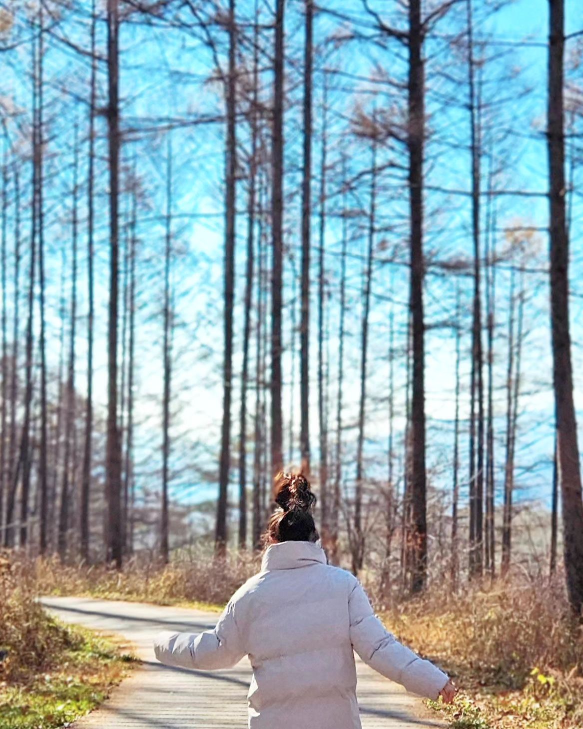 😱💃
추워서 패딩 지퍼 바짝 올렸지만,
씐나서 폴짝이며 걸었던 트레킹길

🌲🌲🤸‍♀️
길쭉길쭉 낙엽송 우거진 임도 지나서
철고리 줄을 폴짝 넘으면
윤슬처럼 반짝이는 숲길이 이어진다.
약수는 벌써 꽁꽁 얼었더라.

오르막이긴 하지만
삼거리에서 1km만 걸으면 만경사!

😋
자세한 내용은 곧 블로그에 쓸게요
.
.
.
.
📍영월 트레킹
🔸️운탄고도1330의 3길이자 산꼬라데이길 중 만경사길
.
.
#강원을걷다 #운탄고도1330 #만경사길 #travelphoto #photos #mountains #landscapes #강원도영월 #영월여행 #영월트레킹 #산꼬라데이길 #만경사길 #트레킹 #사찰 #만경사 #다르다떠나다 #다르다_영월 #숲