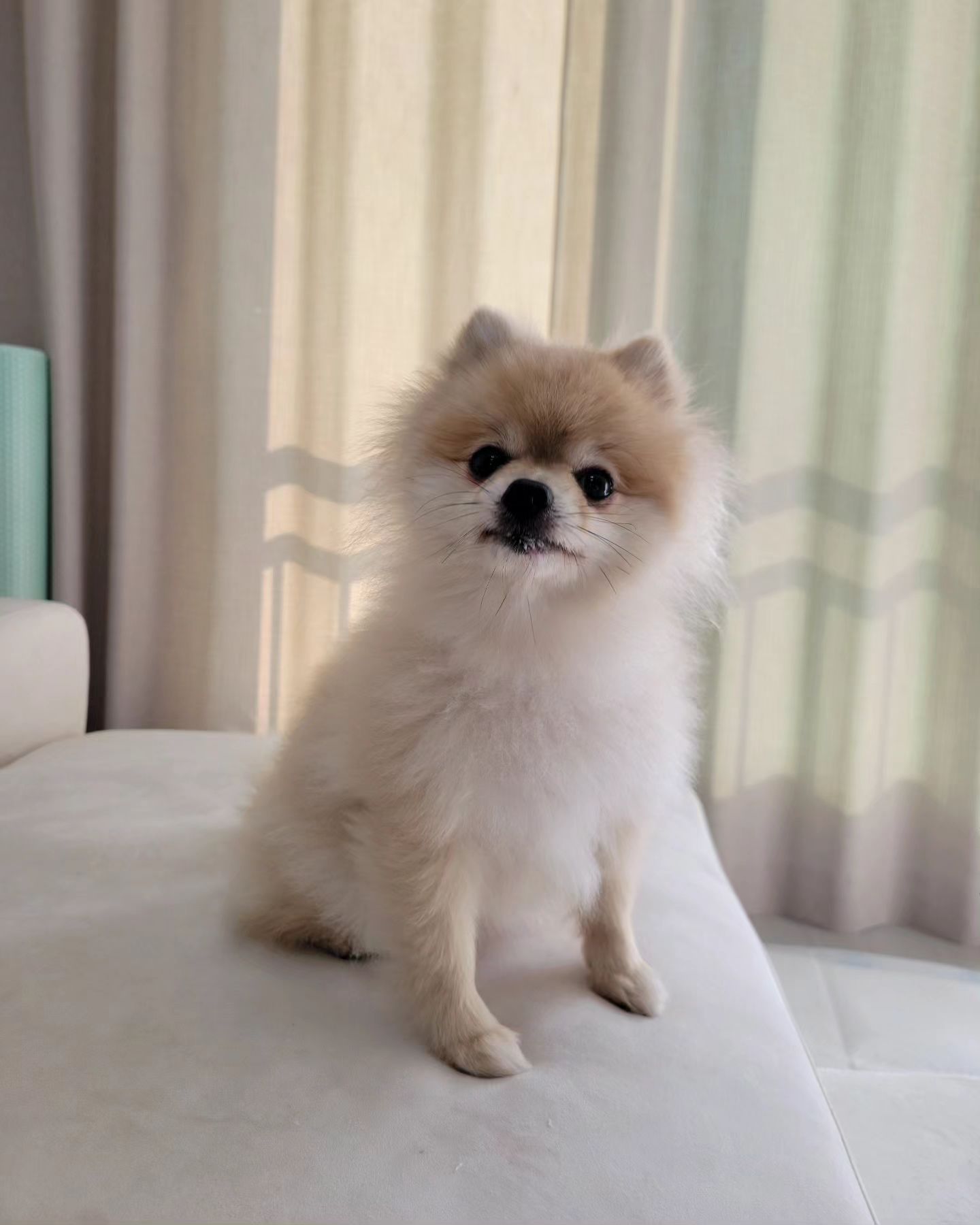 앉아🧎‍♀️