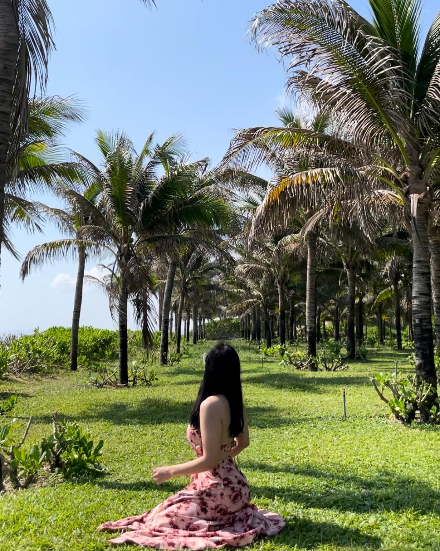 🏖️👗🌸🌴🎡