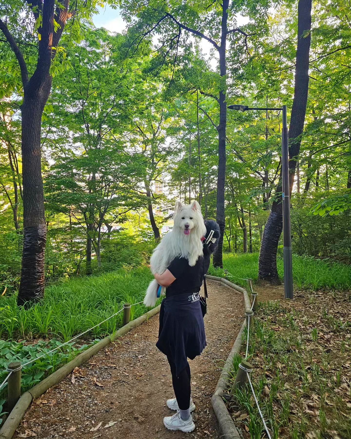 이두로 업어키운 내새끼
.
.
.
#일상 #데일리 #daily #28 #좋아요 #like #follow #me #selfie #셀피 #ootd #맞팔 #선팔 #소통 #팔로우 #송파 #잠실 #송파 #주말 #아가 #반려동물 #사지말고입양하세요 #adoptdontshop