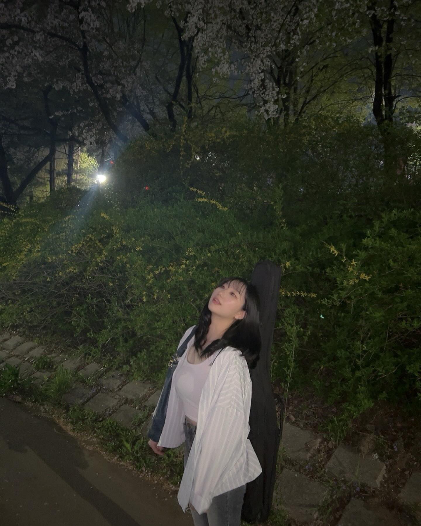 벚꽃 시즌 🏹