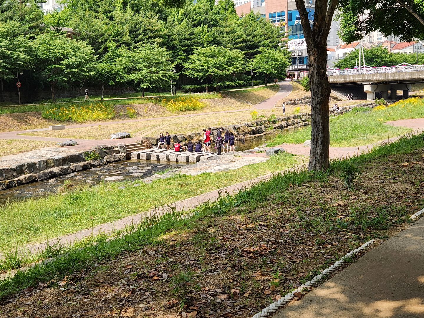 #모닝산책
#비몽사몽 
.
와우 2시간 겨우자고 버티기 들어간 아침.
비몽사몽 잠시걷는중.
모닝커피 해야겠다.
아침부터 물속을 다니는 아이들. 대단하네.