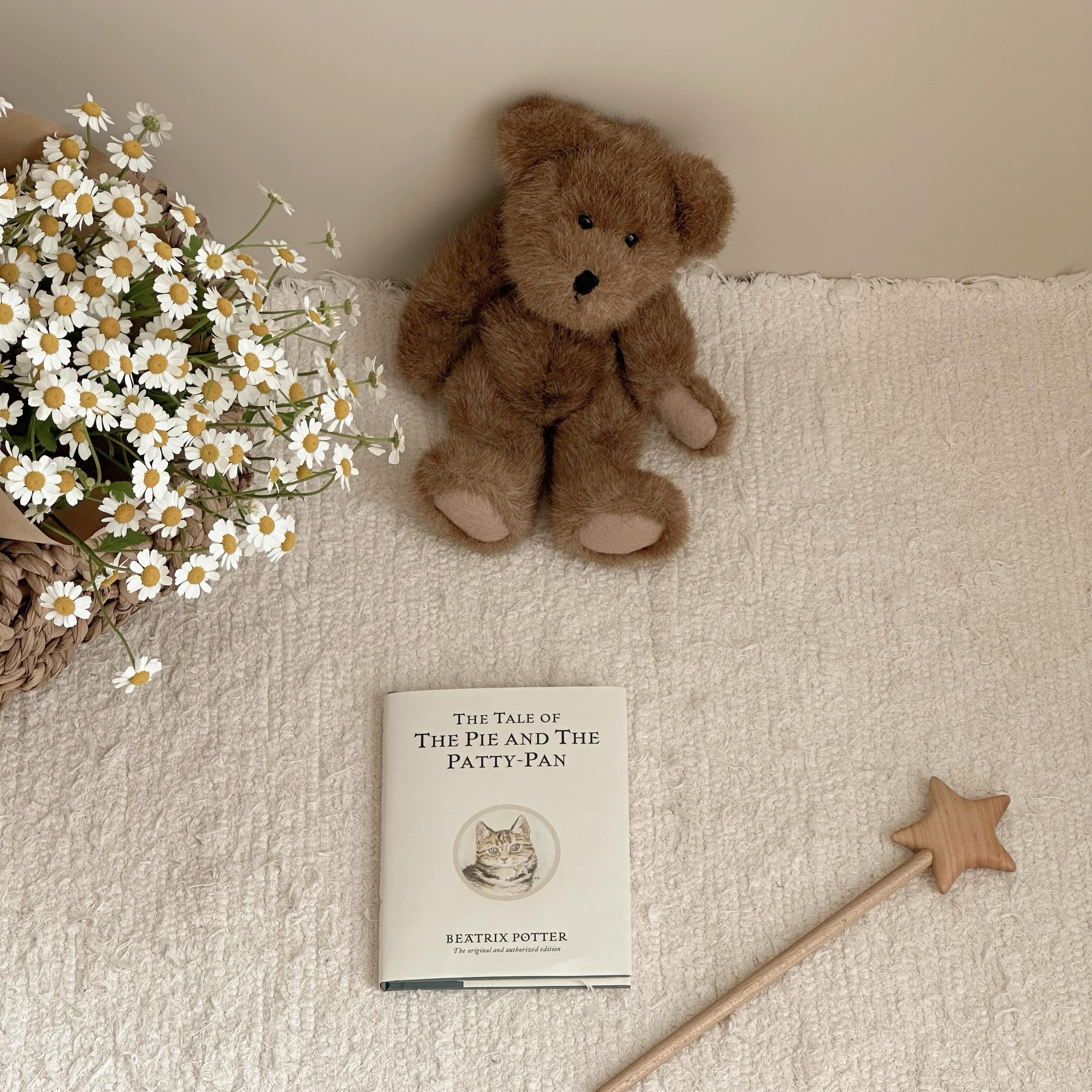 🧸🌼⭐️📓🤎