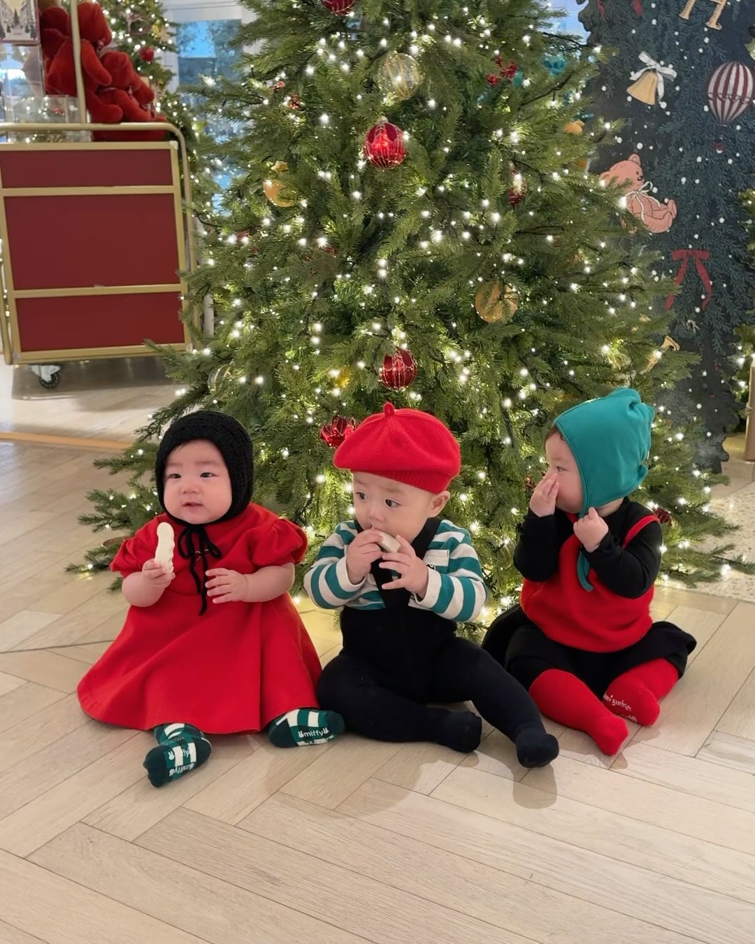 사랑둥이들이랑 미리 멜크❤️💚
j 엄마들의 계획대로 흘러간 하루!
오늘 늠늠 알차고 즐겁고 행복했땨!!!!
잘 따라와줘서 고마워 천사들앙🫶🏻🫶🏻🫶🏻
.
.
.
#더현대서울#오픈런#크리스마스#아기천사#헬육아
#미리메리크리스마스#공동육아#육아일상#또놀자