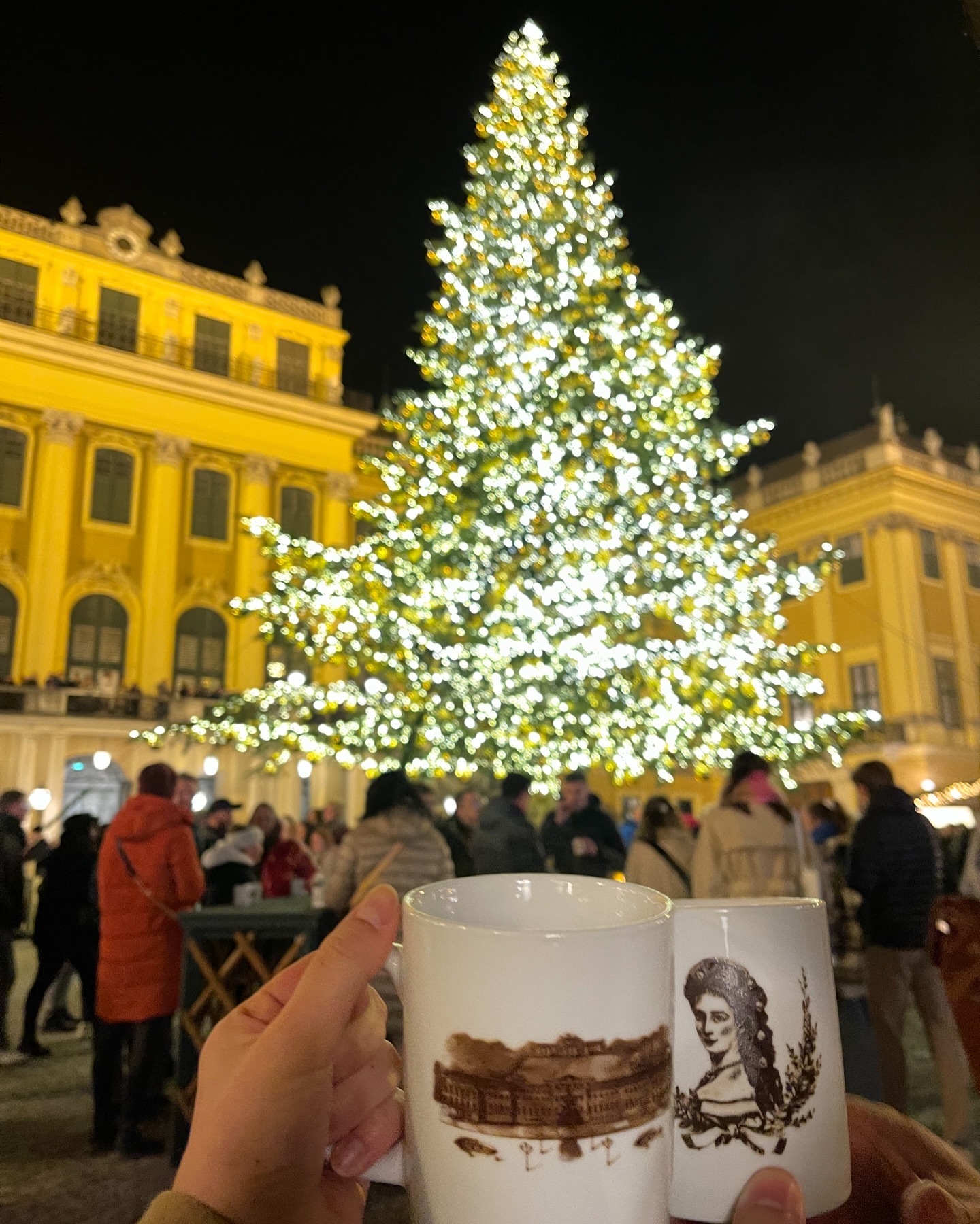 Schönbrunn Castle Christmas Market 🐥❤️🎄
feat 내가만든 약과쿠키 (푼시랑 잘 어울림..)