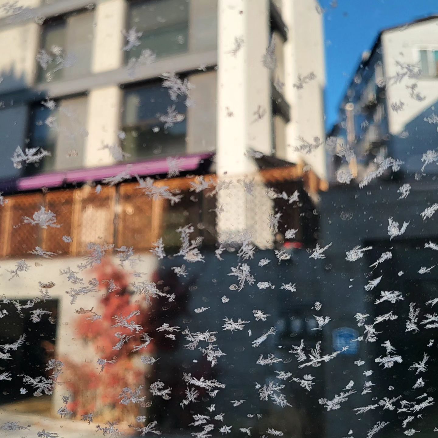 차 앞유리에 이게 뭐시여❄️
심란하면서도 이뻐서 찍음

그나저나 우리동네 2키로에 30분 걸리는거 실화냐고
연비 람보르보다 안나오냐고🤦‍♀️