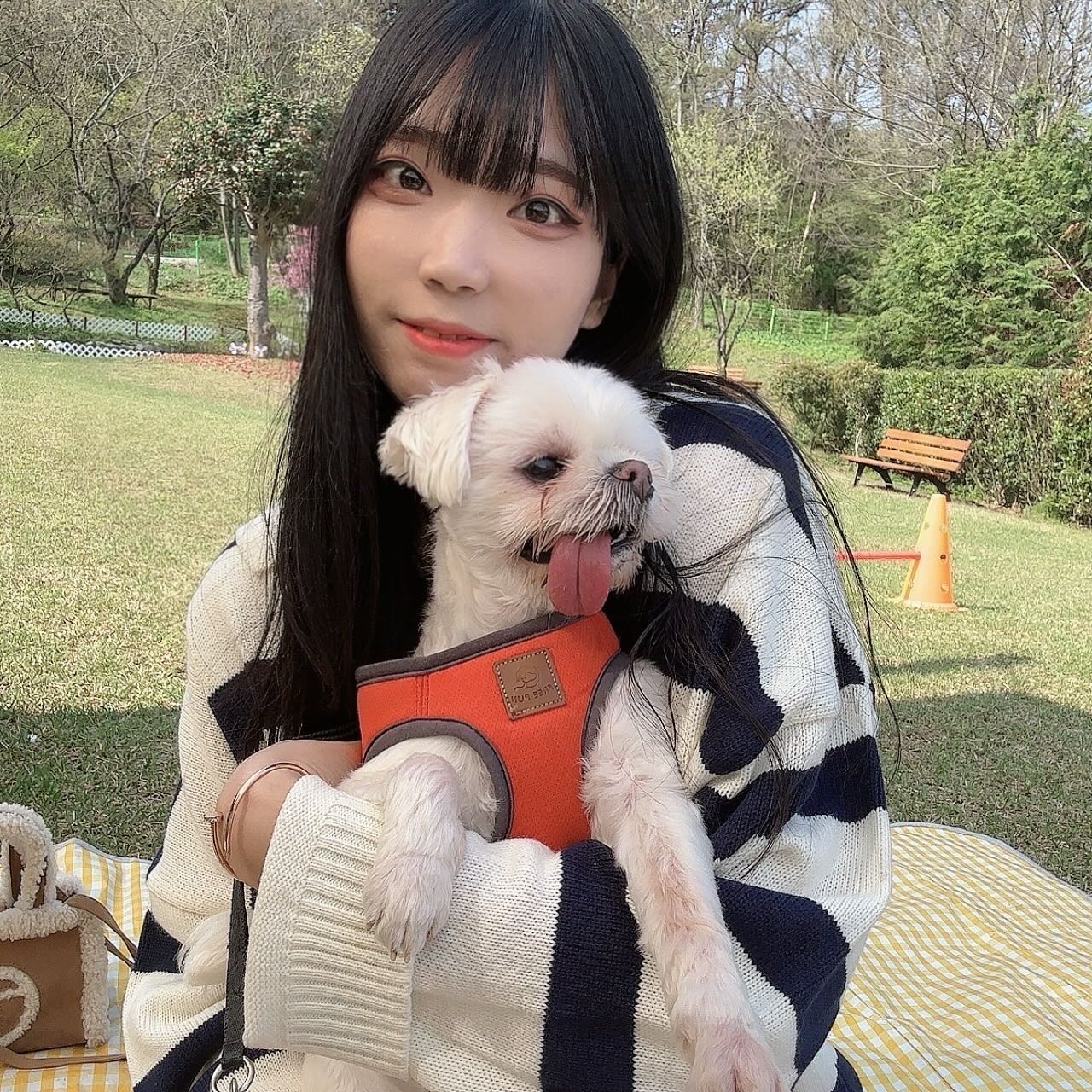 🐶🐶🐶 
.
.
.
.
#지난휴무일#김앤장#개엄마랑#마티랑#🐶
#댕댕이그램#댕댕스타그램#댕맞팔#좋아요
#일상#소통#데일리#인친#담양#담양드라이브
#드라이브#🚗🚙#광주근교#애견카페#담양갤러리