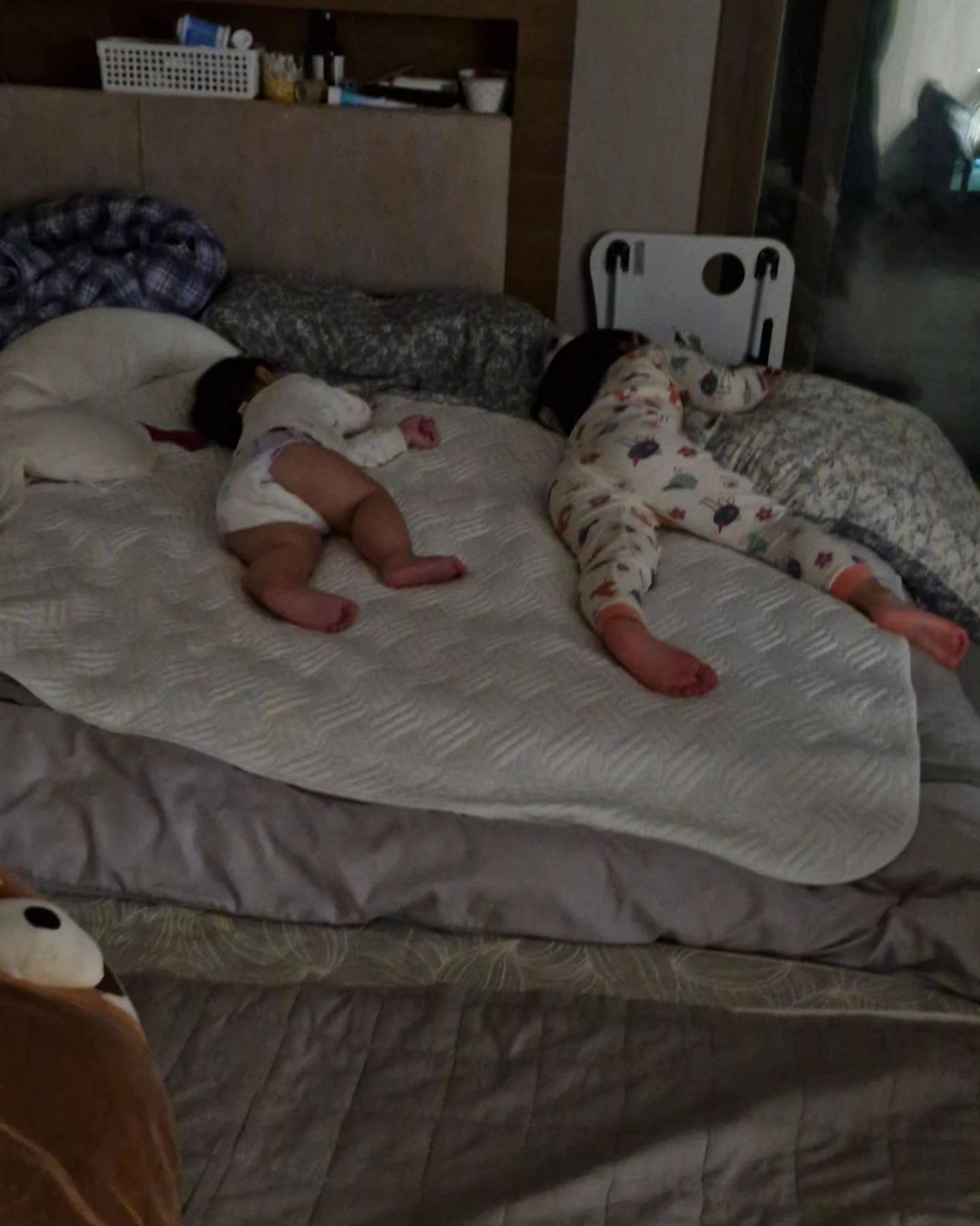 남매는 닮는다더니 똑이네...
신기

#남매 #다둥이 #20년24년남매