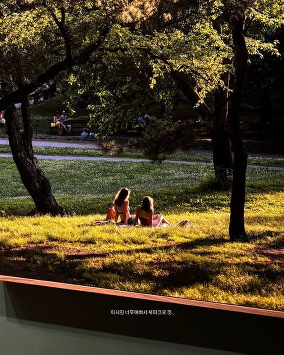 💚
기대하던 사진전을 볼수있어 행복했던 하루 ,
groundseesaw