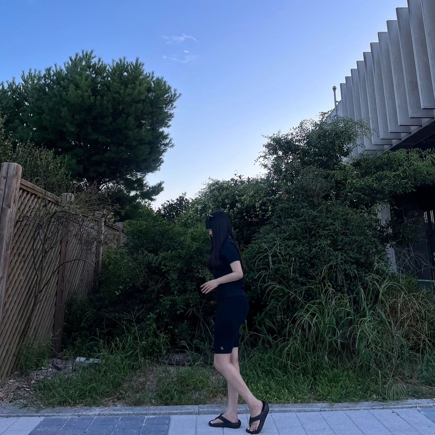 움짤 ( ᐕ)੭