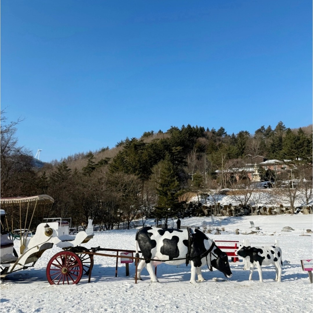 #광고 gangwon2024
올겨울은 가족, 친구, 연인과 함께
강릉, 평창, 횡성, 정선 등에서
여행도 즐기고 올림픽도 볼 수 있어요🔥

2024 강원 동계청소년올릭픽이
1월 19일부터 2월 1일까지 열리거든요

아시아에서 처음으로 
역대급 규모로 열리는 
동계청소년올릭픽이지만

개막식을 제외한 
모든 경기 관람은 무료이며 
공식홈페이지를 통해 
사전 예매 가능하답니다

https://tickets.gangwon2024.org/ko/

참가하는 모든 선수들의 
꿈과 도전을 응원해보아요👏

#2024강원동계청소년올림픽 
#가자가자가자캠페인 
#올림픽도보GO겨울여행도가GO 
#강원2024고고고 #올림픽직관 
#겨울여행 #강원도