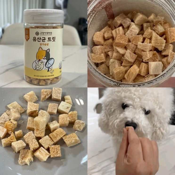고양이트릿 동결건조트릿! 온리버디 유산균 트릿 닭가슴살 45g