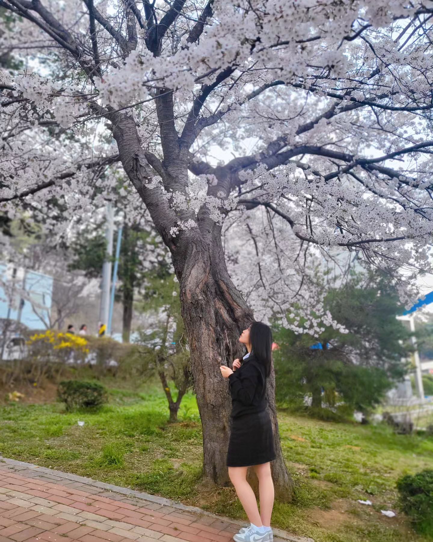 봄