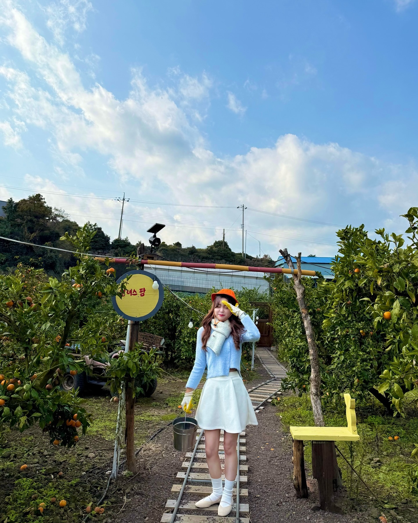올 겨울에 먹을 감귤 수확 완료! ㅎ_ㅎ🍊