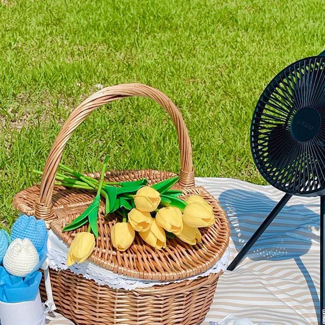 이설 (˙Ⱉ˙) on Instagram: "🧺#제품제공 #앤오매트 🧺 요즘 유명한 앤오매트 저도 써봤는데요오💛 이거 진짜 너무 예쁘고 실용성있더라구용✨ 부드럽게 떨어지는 라운드 엣지로 감성적인 연