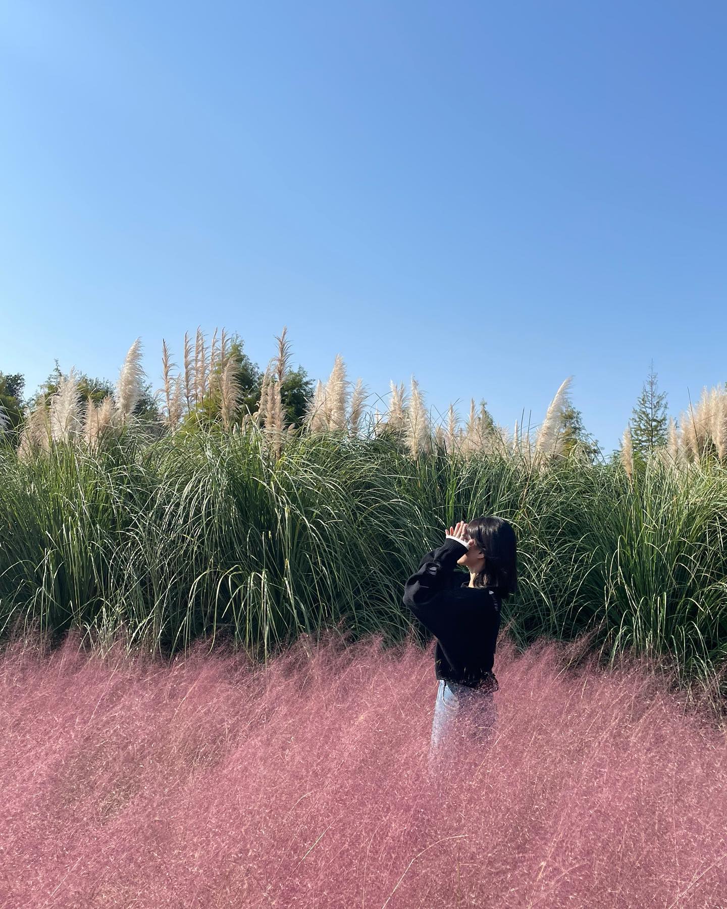 날씨 아주 조코~

#핑크뮬리 #selfie