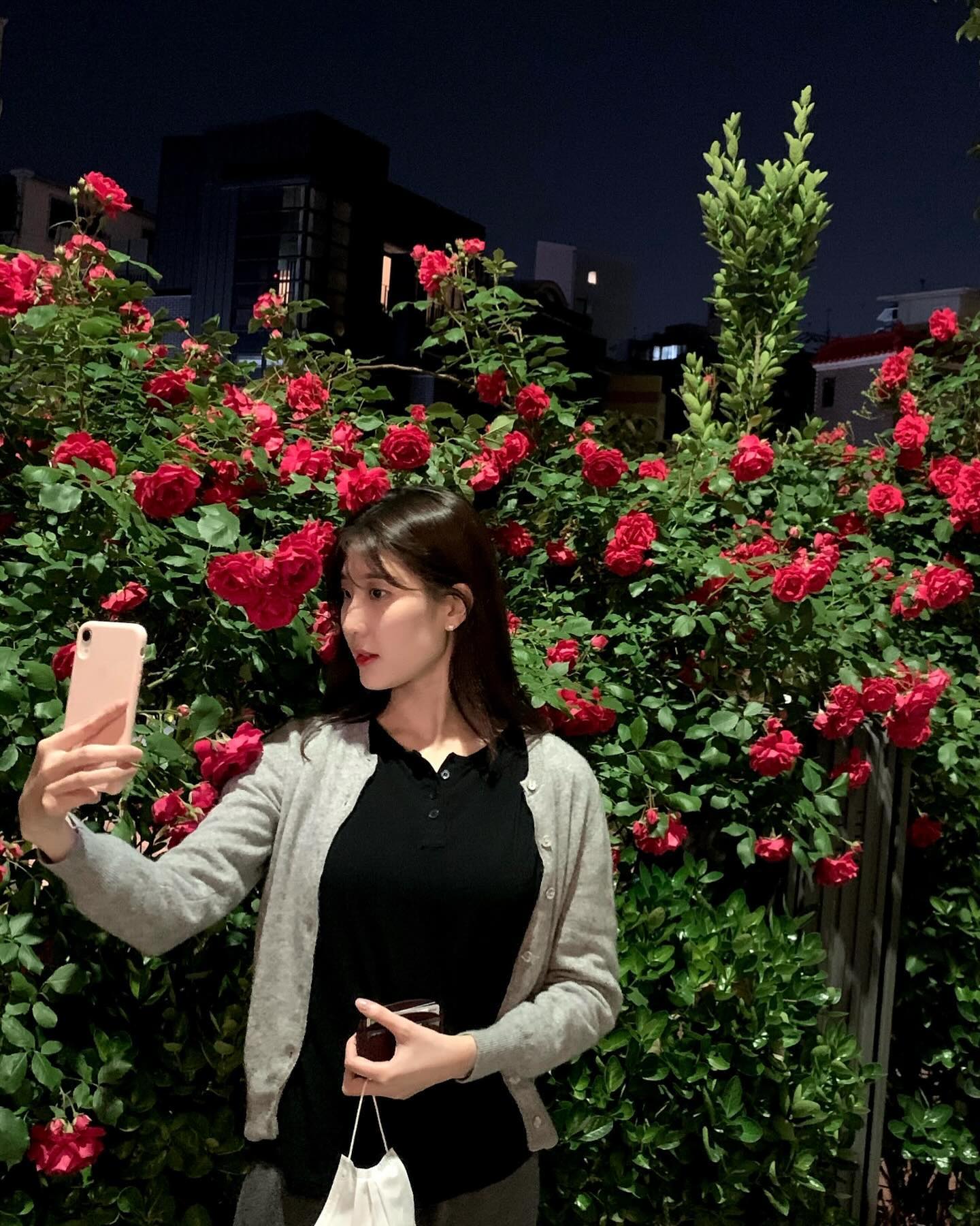 올해 장미시즌은 이렇게 안녕 🌹