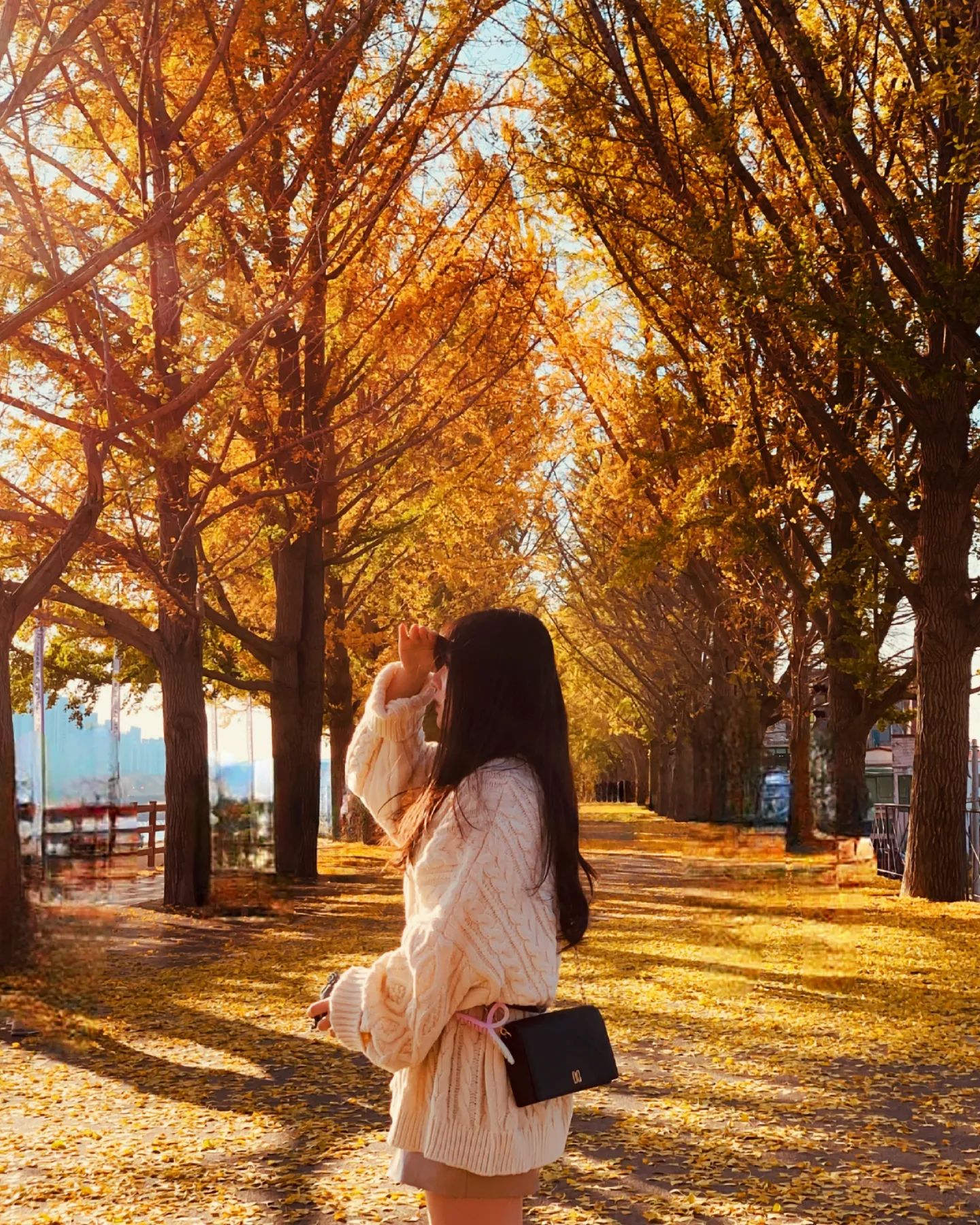🍁
눈이 부실만큼 날이 따뜻해서 좋았는데

이제 밤에는 너무 추워서 핫팩없으면
돌아다니기 너무 힘들어😭😭

다 떨어지기 전에 
은행나무 봐서
너무 좋다~ 
산책도 좋아~~
.
.
.
.
.
#눈부신햇살