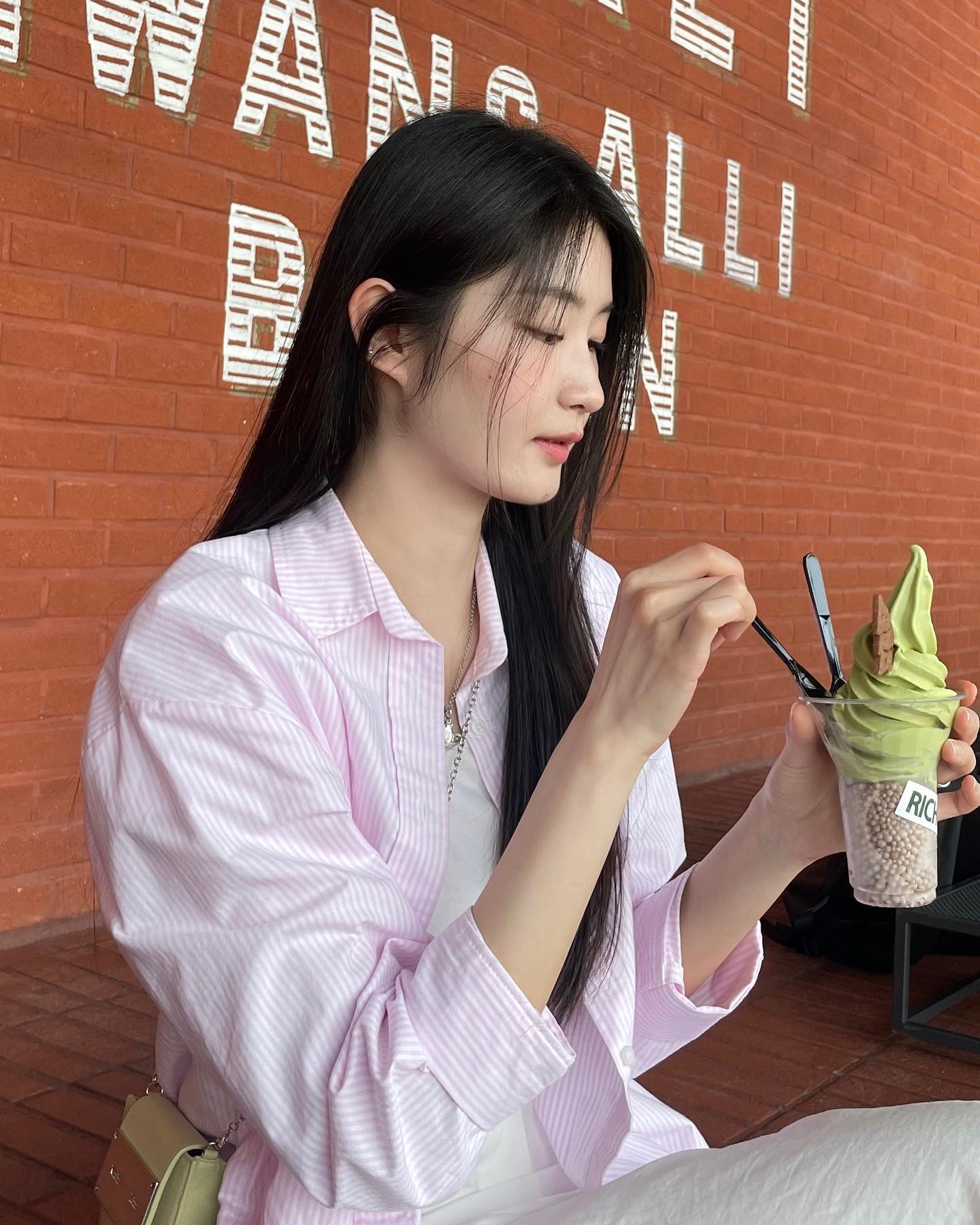 초코나무숲과 고양이🍦🐾