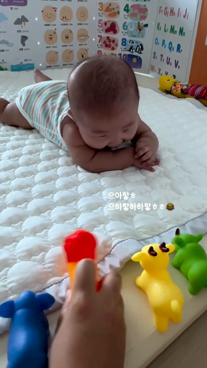 어흥🦁이면 웃음 1초 컷🤣
#해맑은아이 #4개월아기 
#동물농장 #행복해 #아기웃음소리