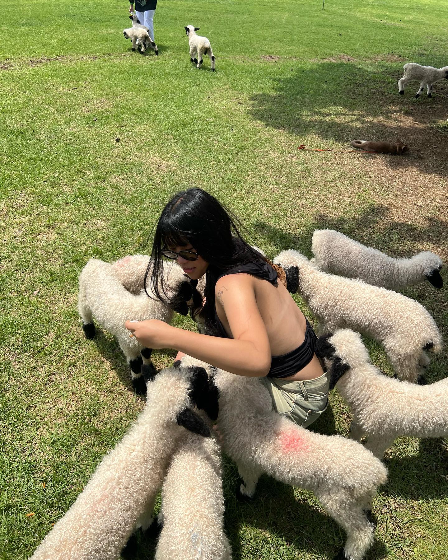 저는 목장에서 양들 우유주고 응가치워요