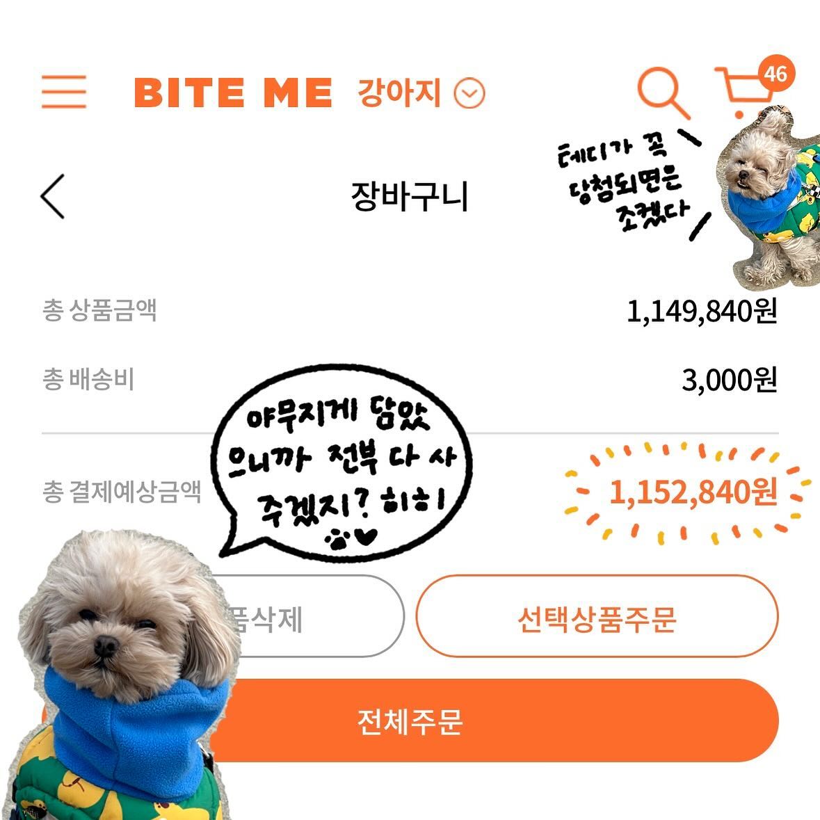 야무지게 꾹꾹 눌러 담아본 장바구니🛒🧡
🐶 : 야무지게 담았으니까 바잇미가 사주게찌...🫶

biteme.co.kr 
#바잇미 #바잇미장바구니이벤트 #KA220313173845mnk
