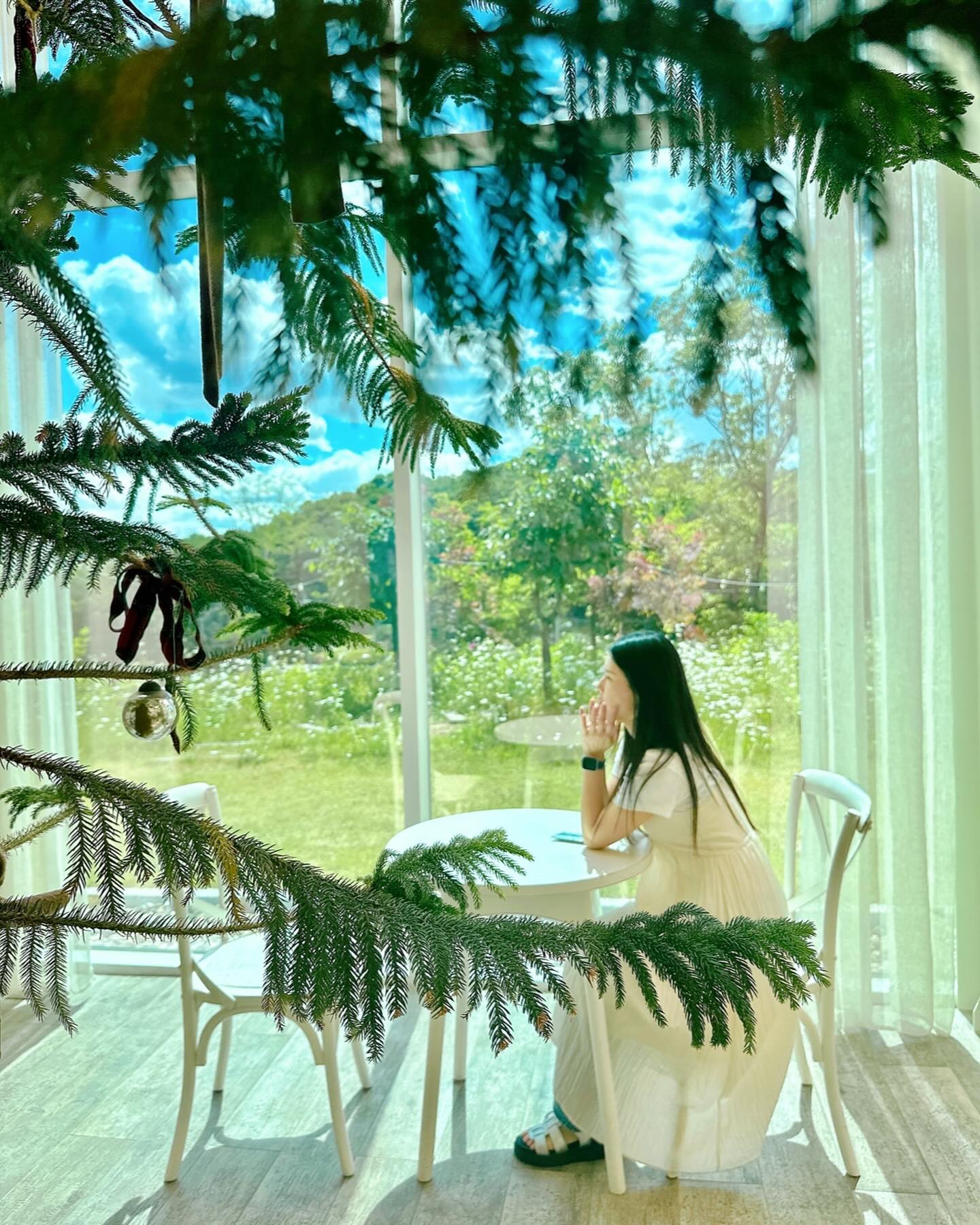 💐🌼🌿🌱