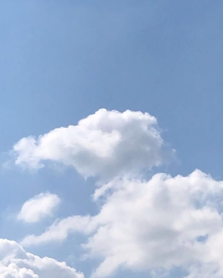 콘텐츠