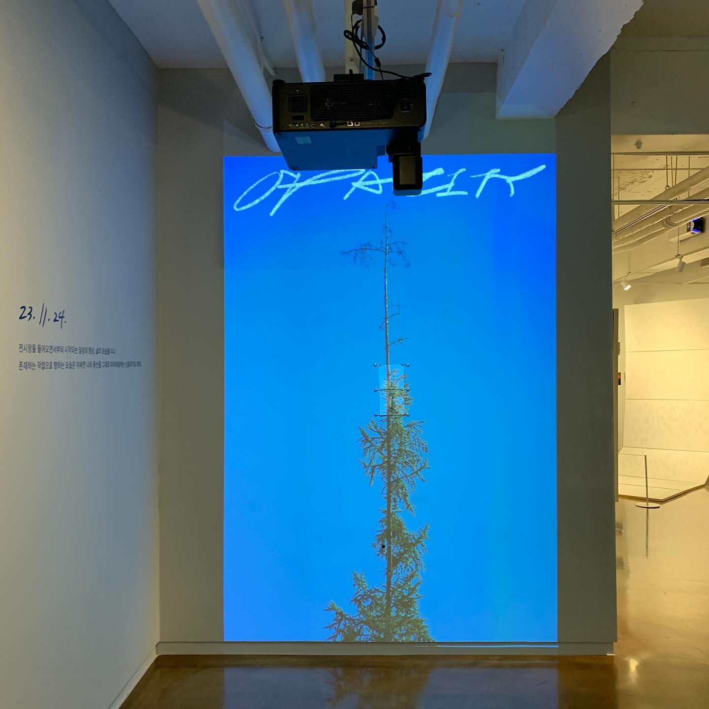 파티클: 𝐎𝐩𝐚𝐜𝐢𝐭𝐲 성립 개인전
제가 좋아하는 성립 작가님의 (조금 늦은) 개인전 후기
(개인적으로 꼭 추천드리고 싶은 무료전시에요.ᐟ)
⠀
⠀
⠀
평소 쉬워보이는 선이 가장 어렵다, 라고 생각하는 편이라
간결하면서도 섬세한 흑백의 선으로 풍부한 감정을 표현하시는 
성립 작가님의 그림들을 진심으로 좋아해요. 
⠀
자칫 너무 심심해 보일수 있는 구성인데도 불구하고,
어쩐지 더이상 뺄 것도 더할것도 없다는 느낌이랄까요. 
⠀
그리고 작가님의 고민이 느껴지는 전시의 구성.
입구에서부터 기승전결이 느껴지는 작품들의 배치부터
한쪽 벽면을 채운 대형 스크린에 소담하게 놓여있는 의자까지
무엇 하나 빠지지 않고 온전히 감상할 수 있었답니다 : ) 
⠀
아쉬운 점이라고 하면 그저 전시회의 규모가 작다는 것?
물론 크다고 다 좋은 것은 아니지만 
조금 더 길게, 많은 작품들을 보고싶은 마음이...🥹
또한 전시는 100% 예약제로 운영되어, 
저처럼 북적이지 않게 작품관람을 원하시는 분들이라면 
아주 아주 마음에 드실거에요. 
예약링크는 프로필 링크에 달아둘게요.ᐟ
⠀
그리고 현재 진행중인 또 다른 전시는 
조만간 방문해보고 후기 남겨드릴게요 : ) 
⠀
⠀
⠀
✔ 전시안내
• 전시기간 : 2023. 11.25 ~ 2024. 1.21
*쾌적한 관람을 위해 예약제로 운영합니다.

• 운영시간 : 11:30 ~ 19:30 (매주 월요일 정기 휴무)
• 작가 : 성립 ( seonglib )
• 주최 : 후지필름일렉트로닉이미징코리아(주)
• 관람료 : 무료
• 관람문의 : 02-517-4750
• 주소 : 서울시 강남구 선릉로 838 페코빌딩 지하1층
• 전시 관람 예약 후 전시에 방문하시면, 관람객 1명마다 후지필름코리아가 1천원의 기부금을 적립하여 초록우산 어린이재단을 통해 국내 아동을 지원합니다.
⠀
🏷 💛 #누카의_서울상경생활기
#성립개인전 #개인전 #개인전시회 #전시회리뷰 #전시회 #전시추천 #서울전시회 #서울전시회추천 #강남전시회 #주말데이트 #데이트코스 #데이트코스 #전시회데이트 #문화생활 #문화예술 #opacity