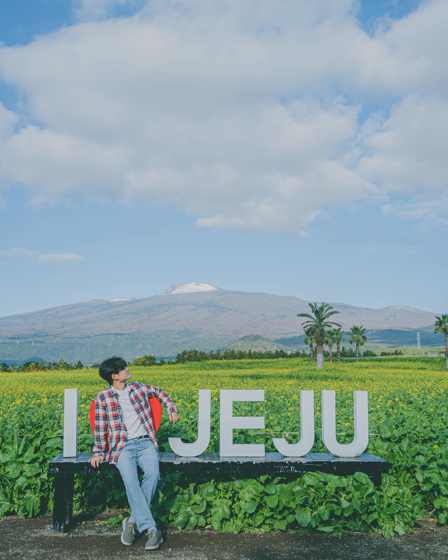 🏔️ 한라산 설산배경 유꽃스팟?!

🤔 육지보다 다소 따뜻했던 이번 제주여행에 다소 당황스러웠던 이유... 5~6도 넘게 차이나는 제주의 낮 날씨 덕에 초가을 날씨 제대로! 그래서 같은 한국 다른 느낌? 이었는데, 유채꽃까지 11월에 볼줄은!

🏔️🌼 벌써부터 쌓인 한라산 백록담 설산에, 제주 최대 규모 유채꽃까지! 너무 다른 상공과 지상으로 독특한 분위기의 유채꽃 스팟!

🌺온실로 꾸며진 수국 & 동백으로 여름에 보는 동백과 지금 시즌을 맞은 동백! 야외 동백은 현재 피어나는 중으로 개화율 70%이상!

🍊 겨울 제주하면 감귤체험! 3년만에 돌아온 상큼 미트... 조금 성숙 버전...
체험하면서 감귤도 먹고, 담아갈 수 있어 꿀재미 그자체!
타이백 감귤이라 멀 따 먹어도 신맛이 덜하고 당도가 있어 비타민 충전까지 제대로 했어요!

📌 유채꽃, 수국, 동백, 감귤체험까지 2시간도 모자랐던 제주 휴애리 겨울에 꼭 가봐야할 각!

————————————————————————
📍휴애리 자연생활공원
제주 서귀포시 남원읍 신례동로 256
⏰ 매일 09:00 ~ 19:00(입장마감 17:30)
————————————————————————

🇰🇷 #여행은미스터트래블 in #제주
ⓒ2023. 𝘔𝘪𝘴𝘵𝘦𝘳 𝘛𝘳𝘢𝘷𝘦𝘭 𝘈𝘭𝘭 𝘳𝘪𝘨𝘩𝘵𝘴 𝘳𝘦𝘴𝘦𝘳𝘷𝘦𝘥