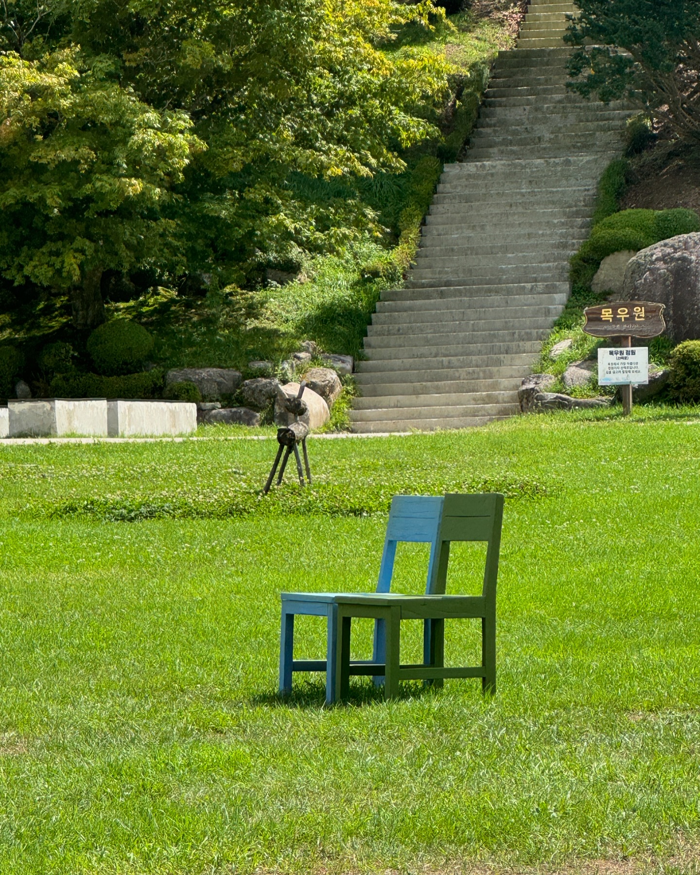 콘텐츠