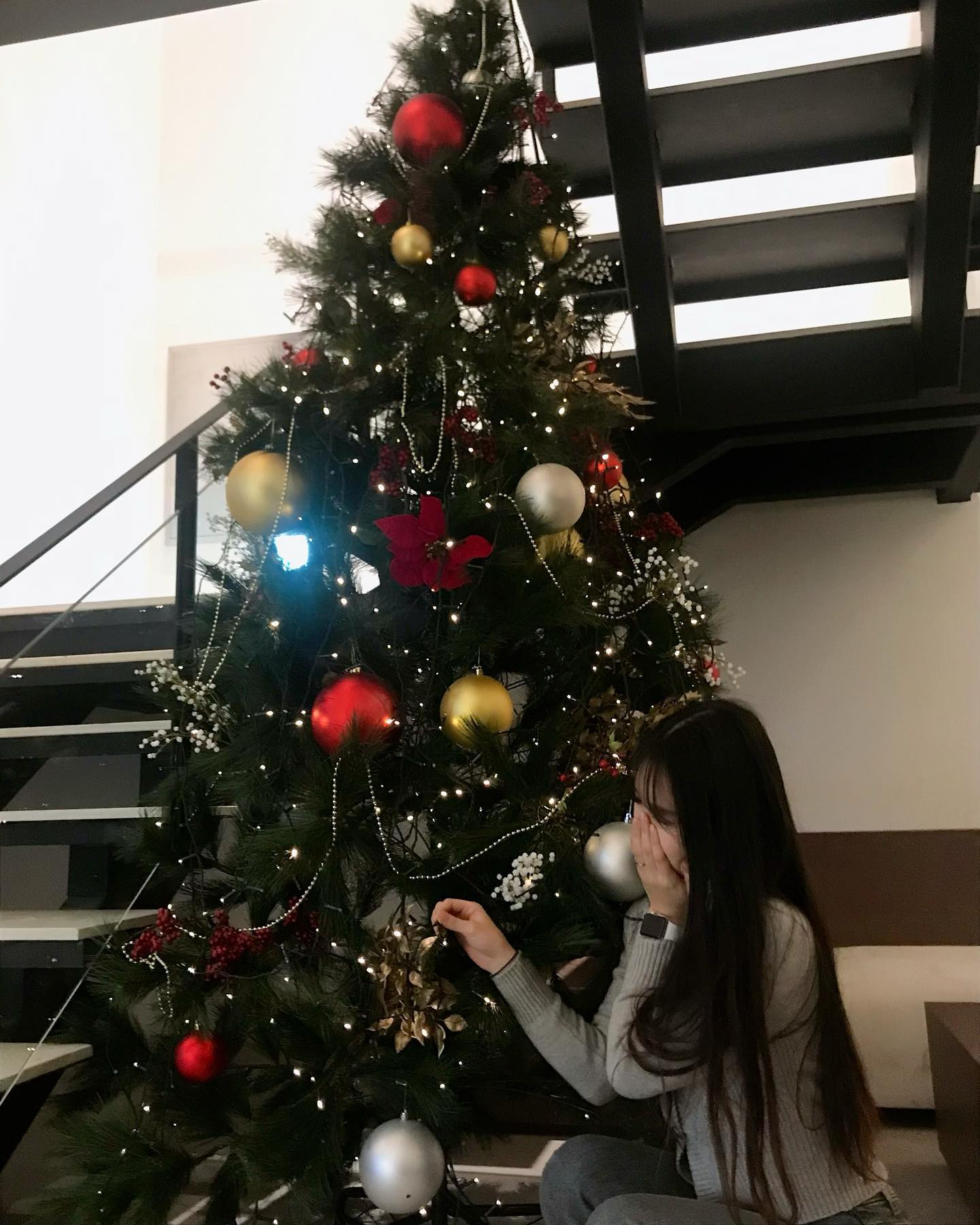 사진 작가 : ???

#05  #트리