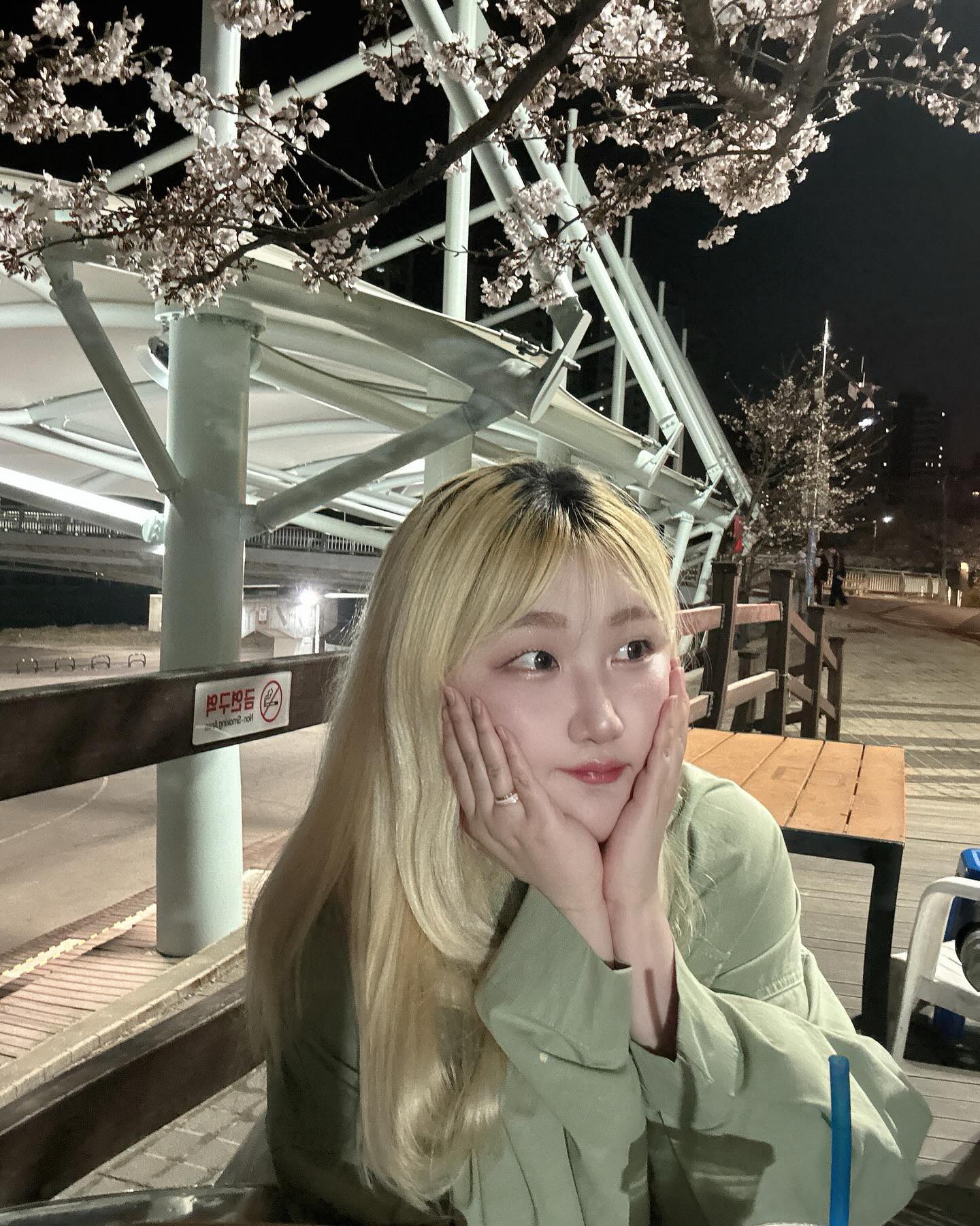 벚꽃 강행군🌸