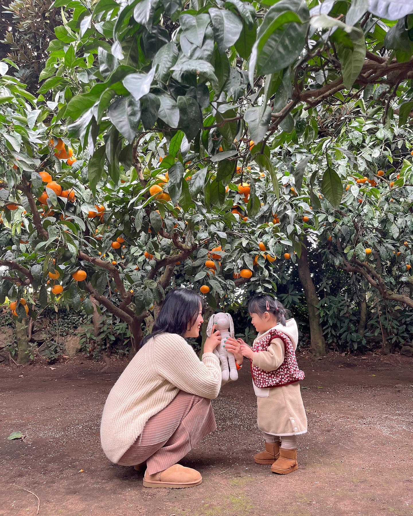 귤국에서🍊