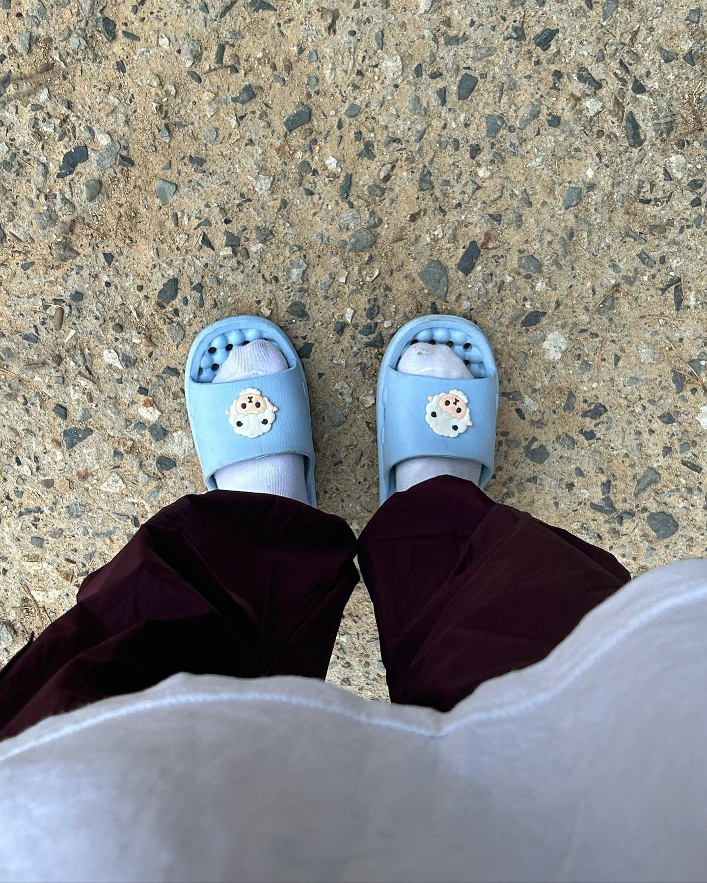 먹는 척 아니고 진짜 먹다가 찍혔는데 탐스 광고냐면썽 ㅋㅋ