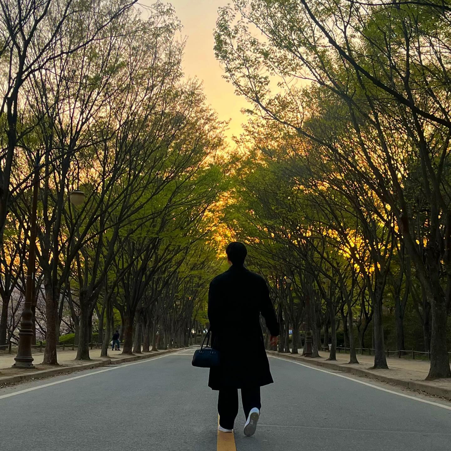 벚꽃엔딩