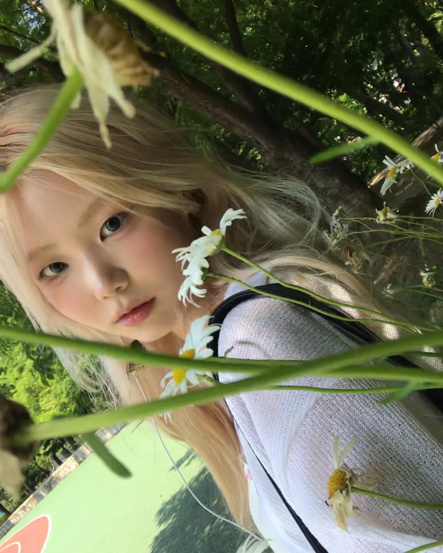 요즘 꽃이 좋당 정확히는 꽃이랑 있는 내가 ˘͈ᵕ˘͈⋆˚.•ꕤ‧₊⋆