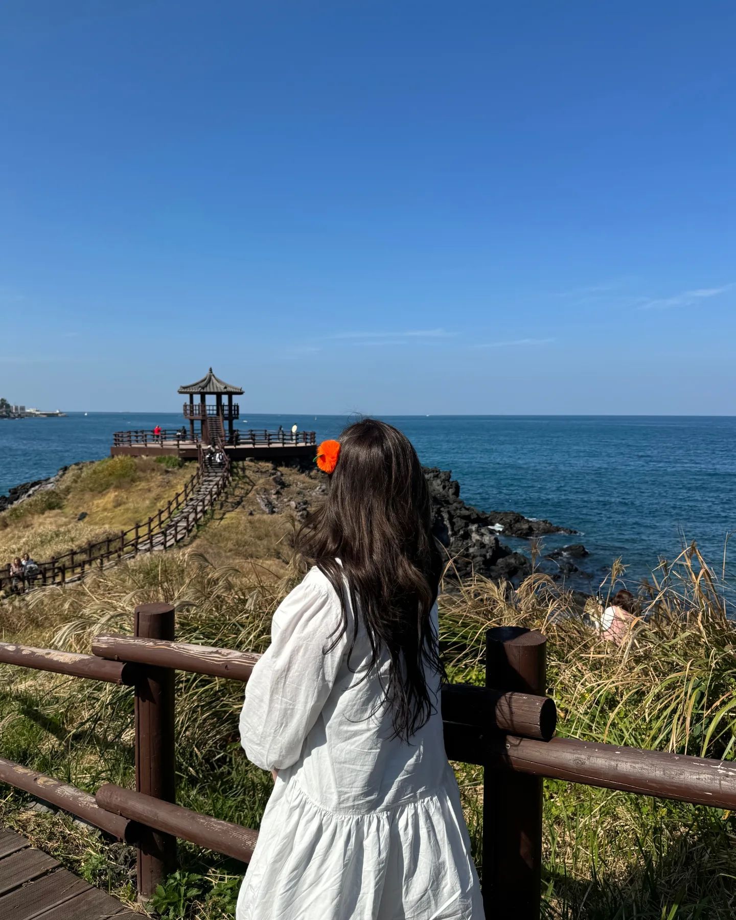 예뻤던 제주 추억하기 완료🫶