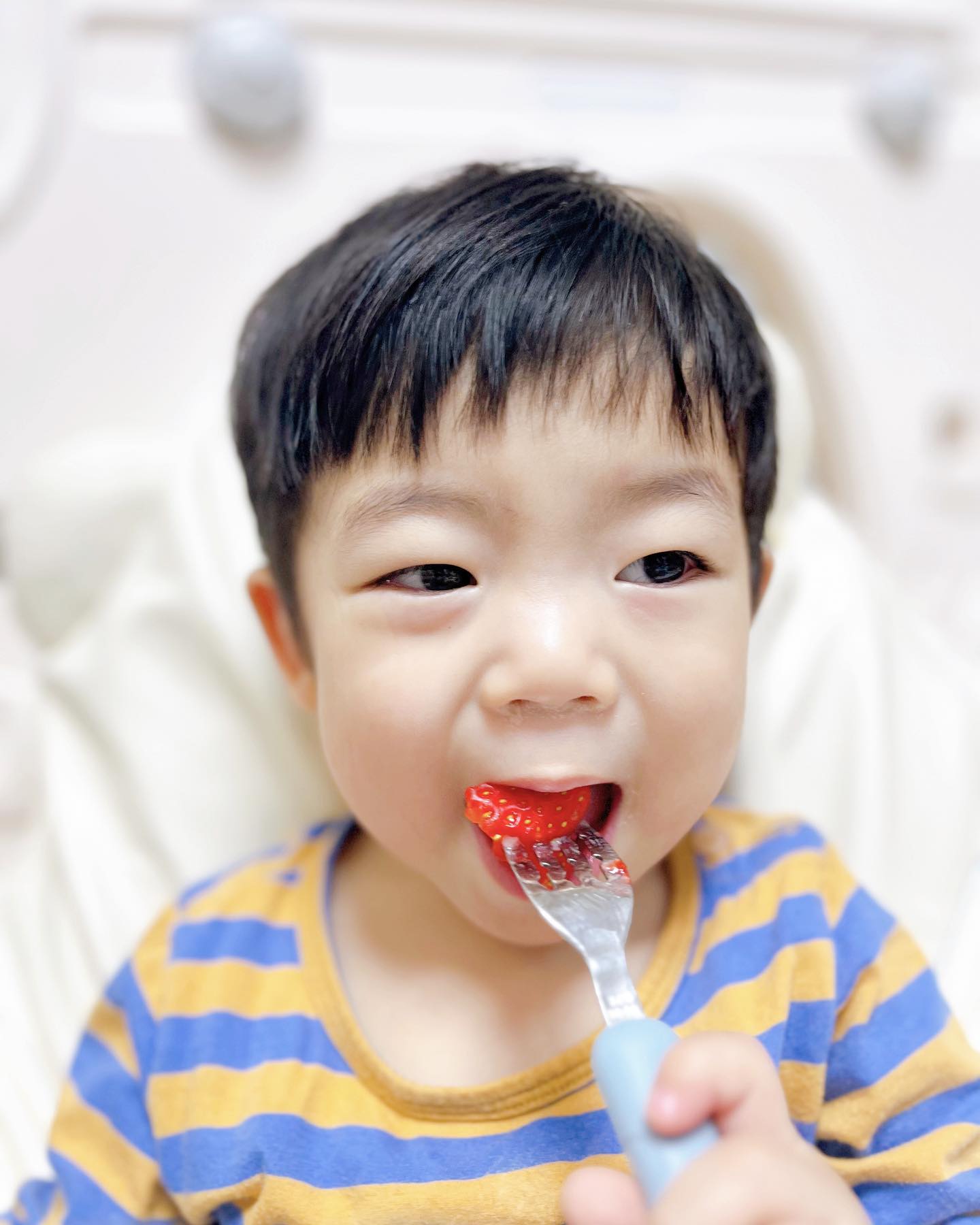 #내돈내산

진짜 살면서 이렇게 신선하고 맛있는 딸기는 첨이에요! 
뽀또가 딸기를 너무 잘먹어서 동생이 선물해준 #당찬딸기 🍓🍓
출하되서 시장에 경매장에 있다오는게 아니라
마트에서 오래 진열됐다 우리집으로 오는게아니라
바로따서 택배로 하루만에 받으니까!! 집에서 키워수확한것처럼
완전 신선하고 당도도 최상!!!🍓🍓🍓
작물 특성 상 망가지기 쉬운 과일인데 정망 흠집하나없이 이렇게 좋은 딸기라니🍓🍓
좋은것만 주고싶은 엄마들이라면 #당찬딸기 선택하세요❤️
구매는 strawberry_dangchan 

#당산딸기 #당찬딸기 #돌아기딸기 #아기딸기 #딸기먹방 #🍓
